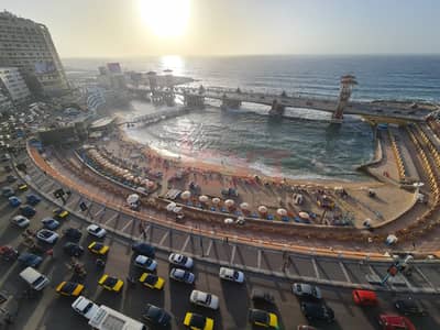 3 Bedroom Apartment for Rent in Stanley, Alexandria - WhatsApp Image 2025-07-10 at 3.01. 11 PM. jpeg