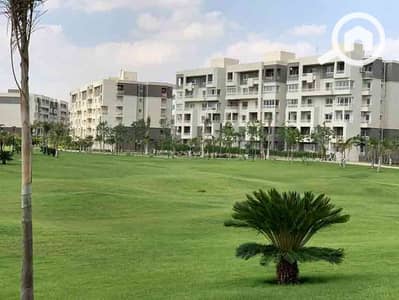 3 Bedroom Apartment for Sale in Madinaty, Cairo - WhatsApp Image 2024-09-12 at 12.36. 53 PM - Copy. jpeg