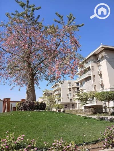 شقة 3 غرف نوم للبيع في القاهرة الجديدة، القاهرة - WhatsApp Image 2025-07-16 at 11.03. 26 AM. jpeg