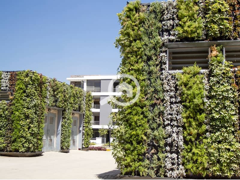 13 tag_sultan_greenwalls2. jpg