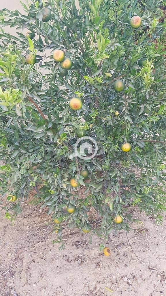 14 WhatsApp Image 2023-01-18 at 10.59. 41. jpeg