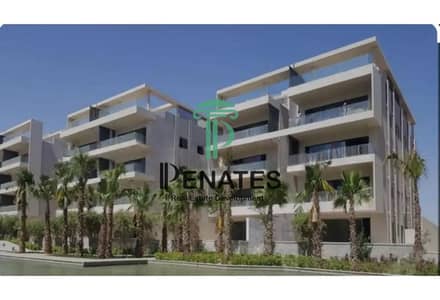 3 Bedroom Apartment for Sale in New Cairo, Cairo - X-Design_Batch_Object_Remover（4）. jpeg