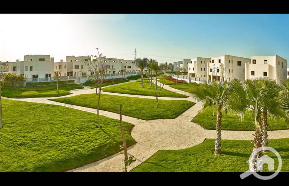 6 cleopatra square compound. jpeg