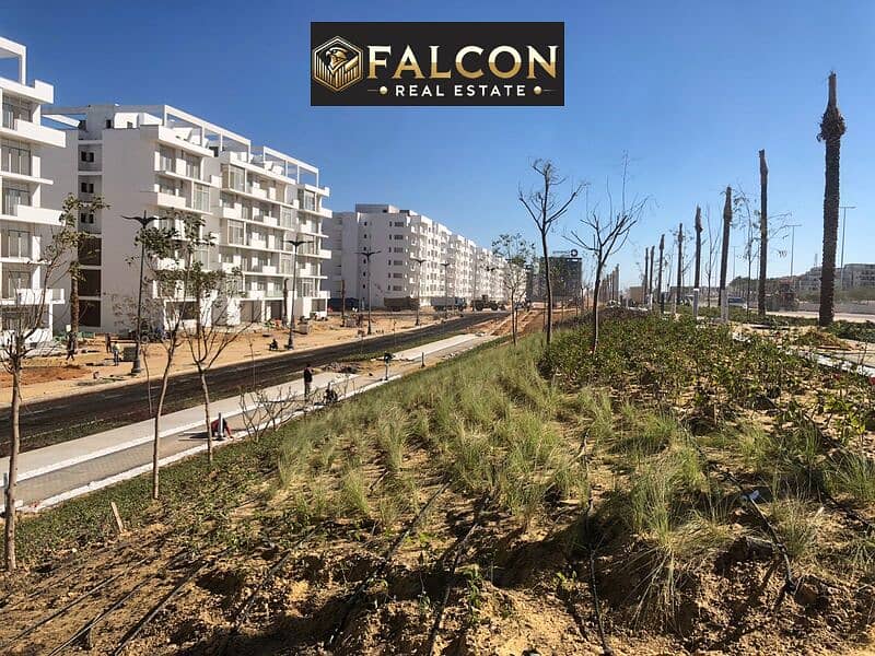 9 98765434567890-. jpg