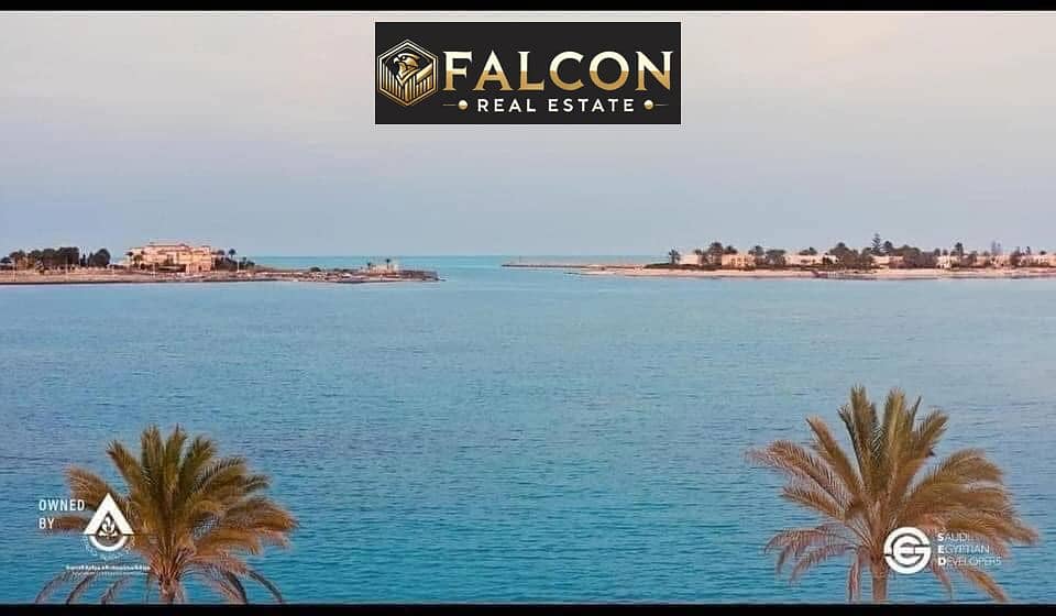 3 WhatsApp Image 2025-05-26 at 14.38. 59_d6309e87. jpg