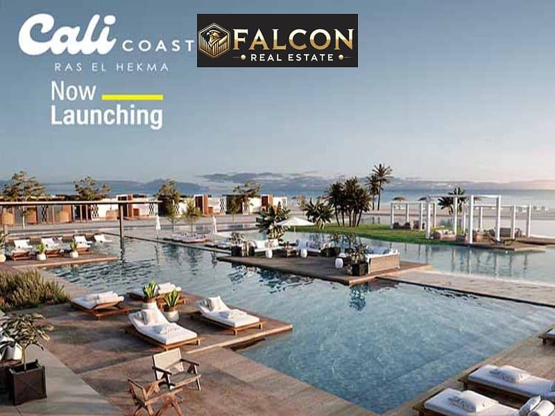 4 d1c8b99b-13c5-43c8-9e54-02804cfca6d8. jpg