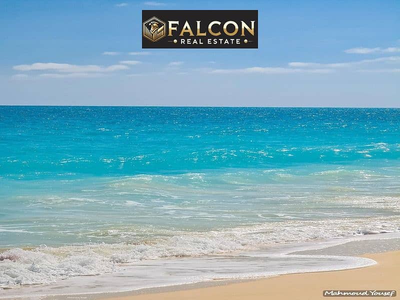 8 440174372_2919405091533695_6531557364507068396_n. jpg