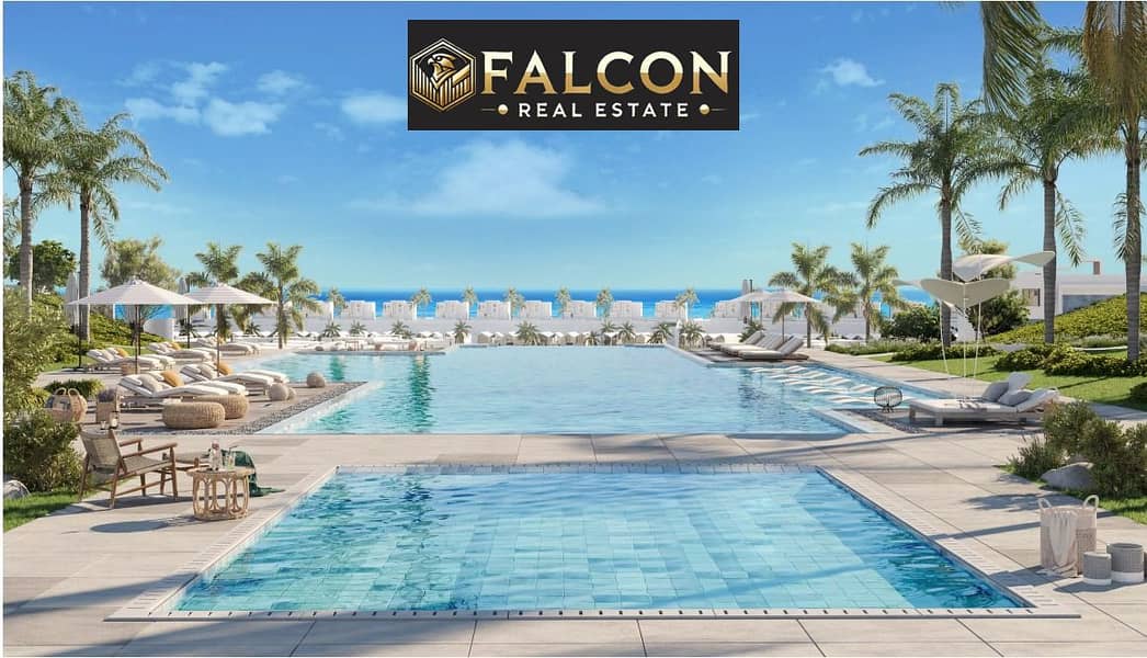 12 Screenshot_29-2-2024_1413_. jpeg