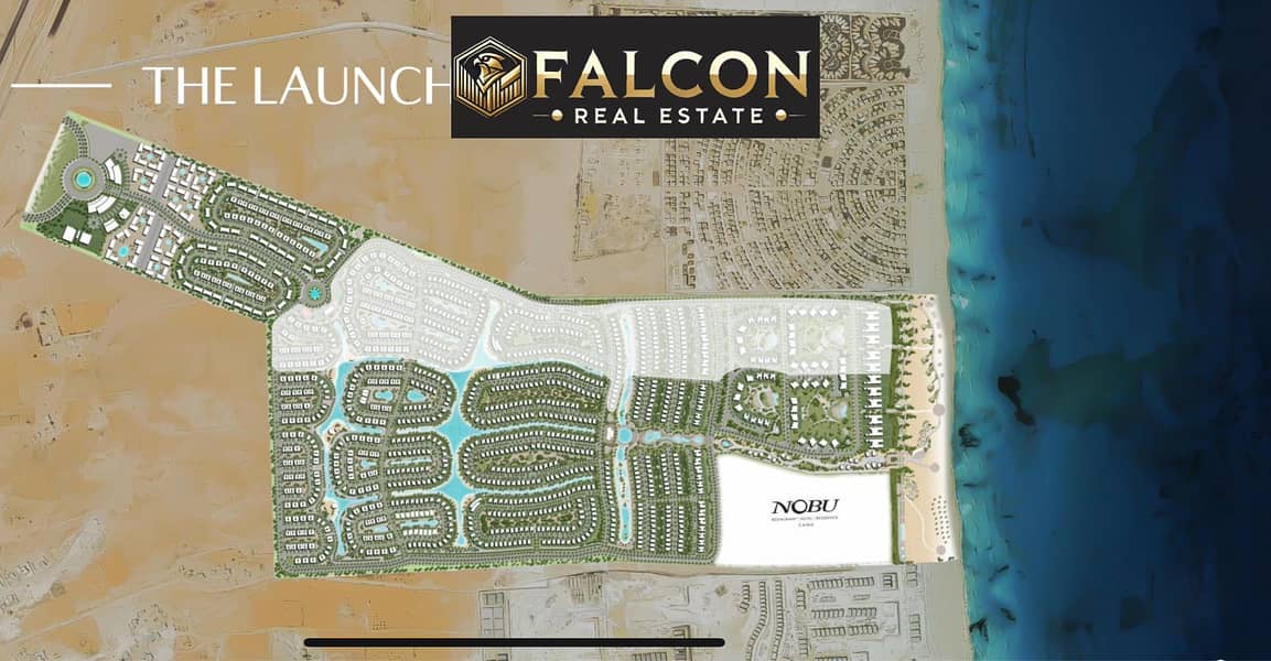 3 55b75080-7727-49b9-a471-7f1dec23a25e. jpg