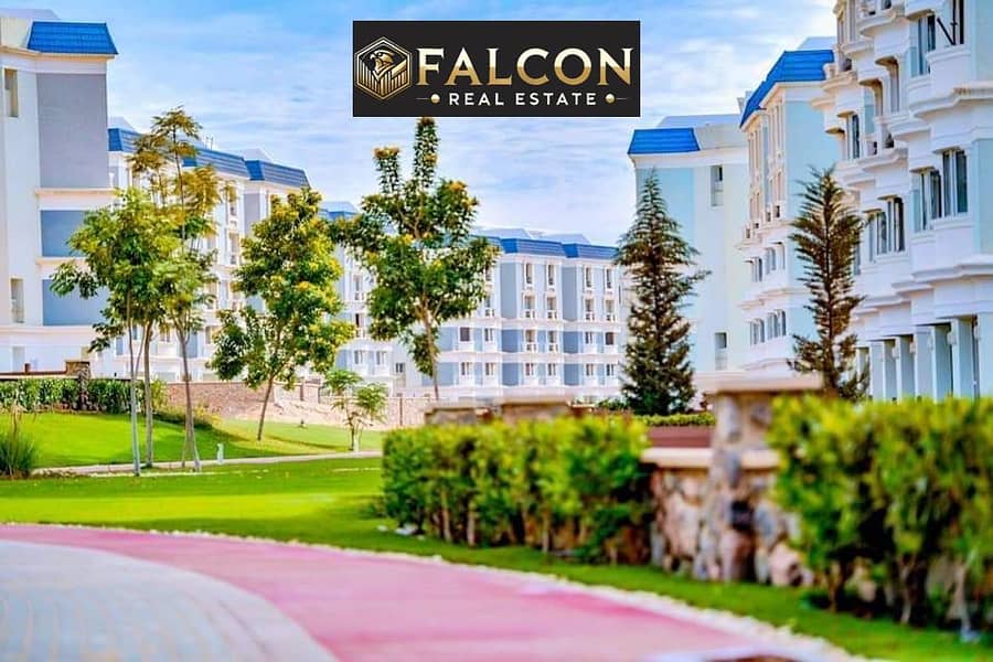 8 ab295316-429c-4d5c-91ed-dfcb9016ef8e. jpg