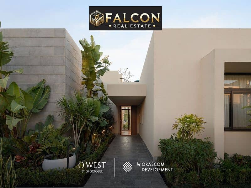 6 973618e7-4127-4a54-8ece-636c8f865aa5. jpg