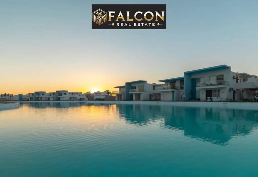 10 cd2fe364-a7b7-4813-b149-b3b7f749c8d4. jpg