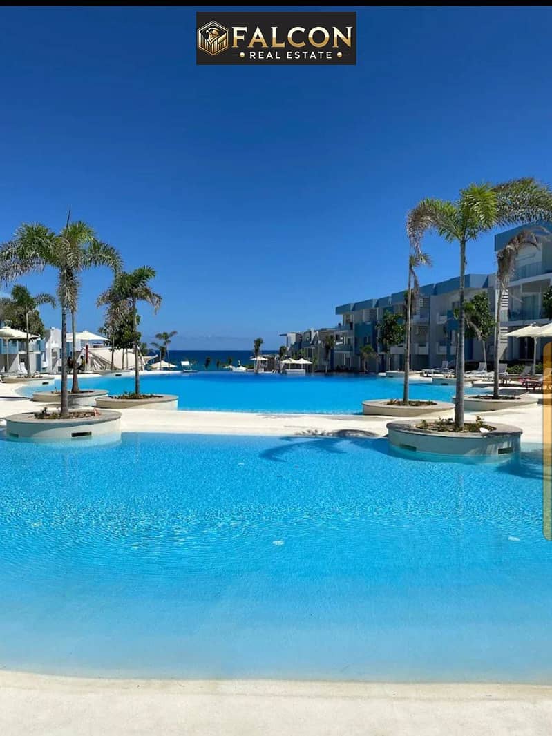 7 494734102_993835302904027_4646382966176433480_n. jpg