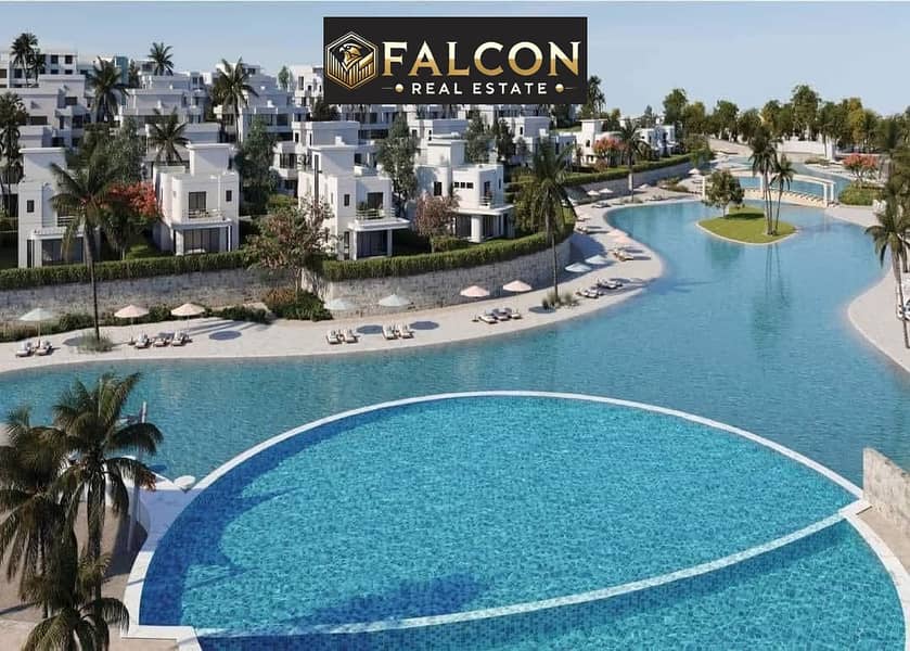 4 489958483_1372067637169962_2443691761921692568_n. jpg