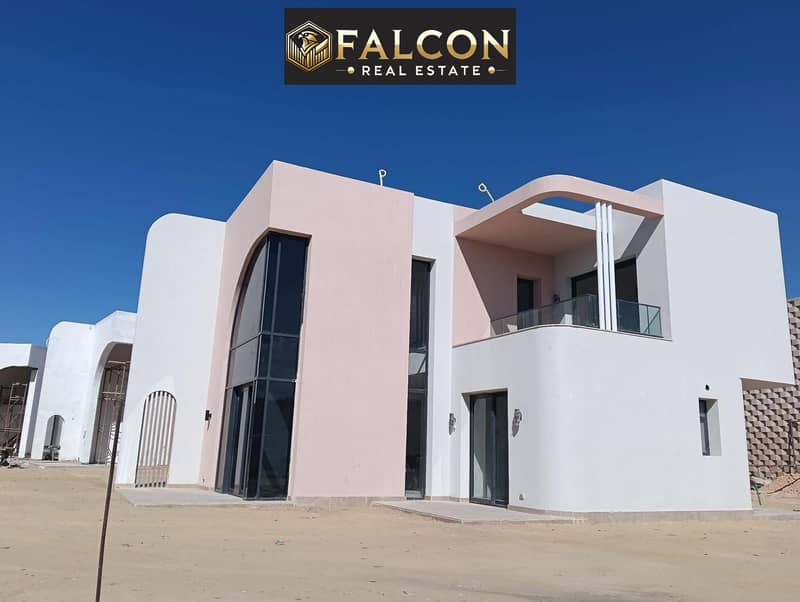 6 490014269_1372067643836628_2657430315387473890_n. jpg