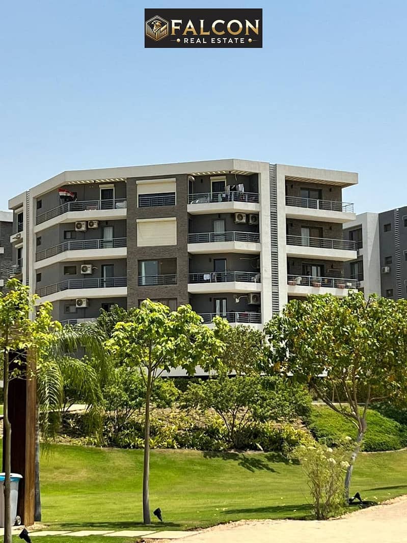 468518596_122125037276483051_1932670052526475140_n. jpg 468518596_122125037276483051_1932670052526475140_n. jpg