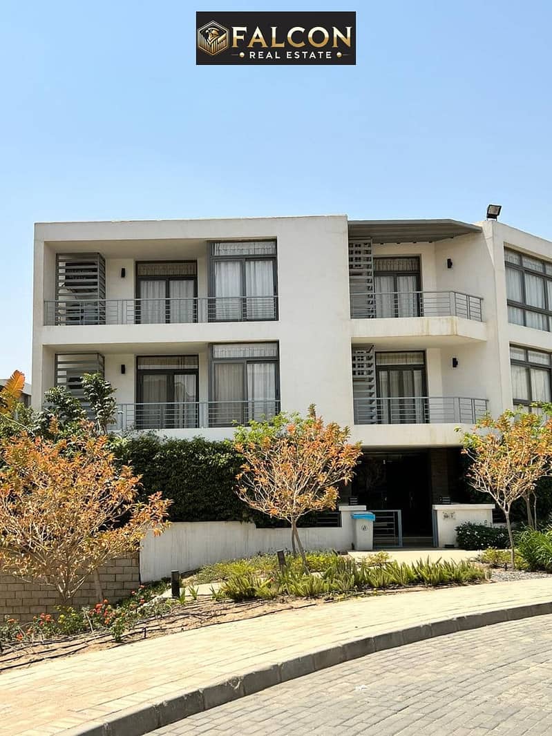 10 468523523_122125037384483051_9136058855162253206_n. jpg