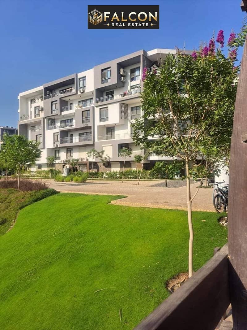 11 468602547_122125037354483051_1093717926463496679_n. jpg