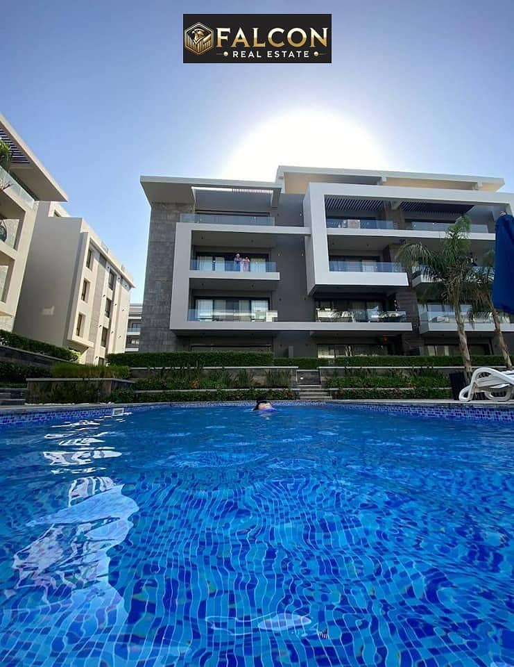 12 474857147_481293245027535_3142562009742402125_n. jpg