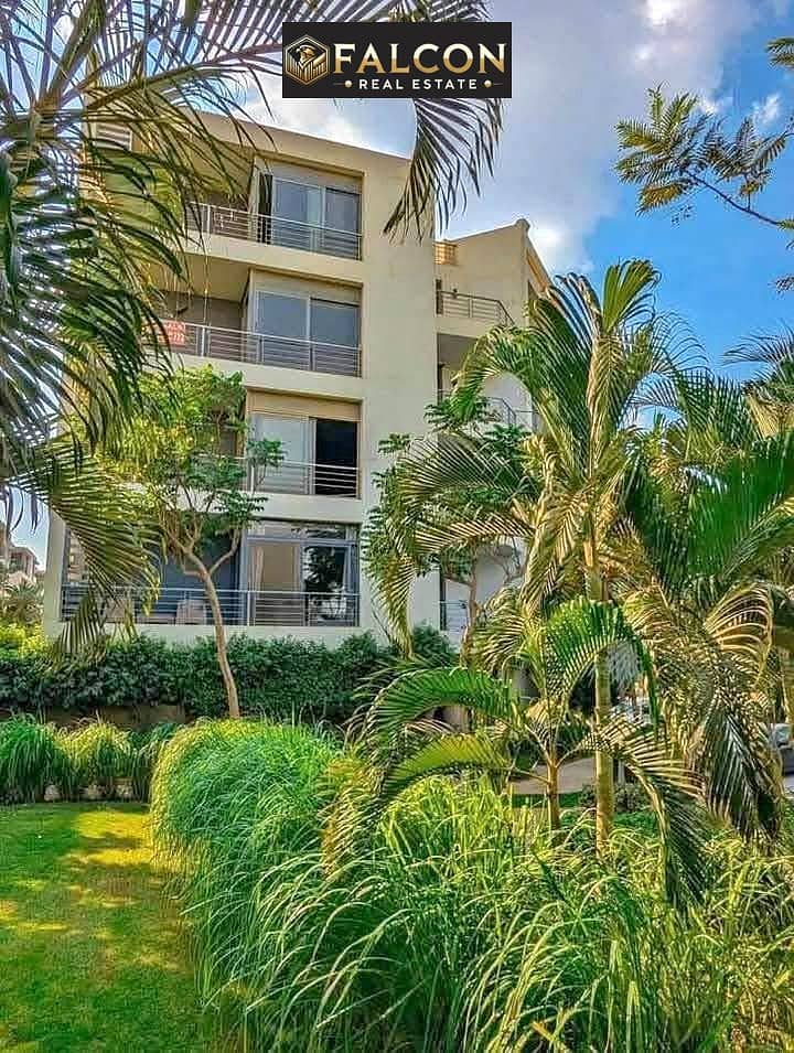 10 475455983_1264631868172949_1518378929455076233_n. jpg