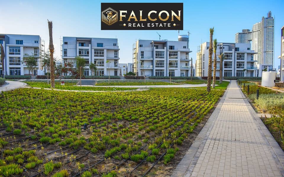 11 487812109_1082847927202580_5443463827137866207_n. jpg