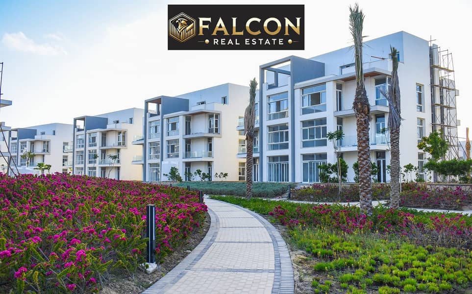 12 487824741_1082847477202625_5580301996161821411_n. jpg