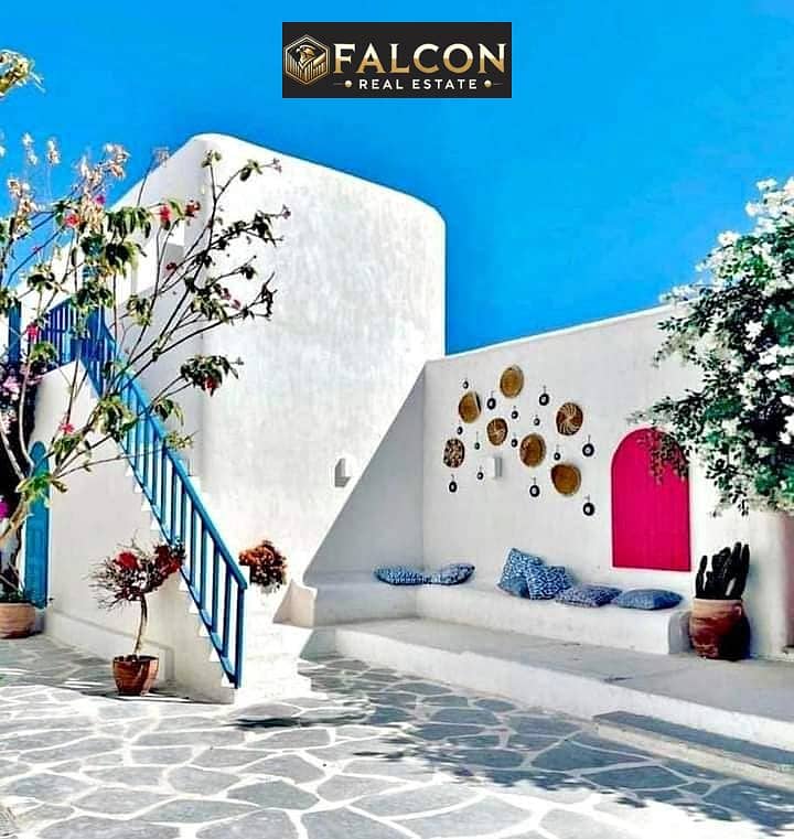 5 472941908_122140872416452798_375393001434430594_n. jpg