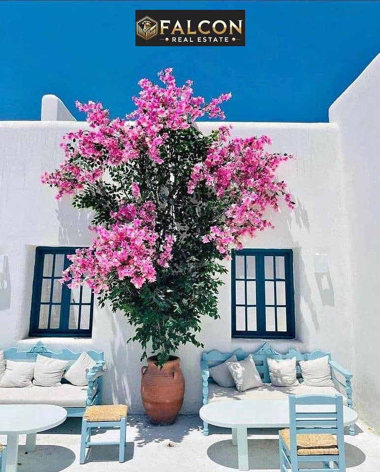 6 503345505_2620315338316794_7153423776456145450_n. jpg