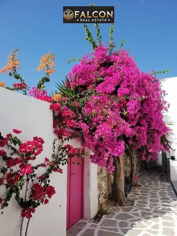 7 493939770_678614798300651_8269678335311388257_n. jpg