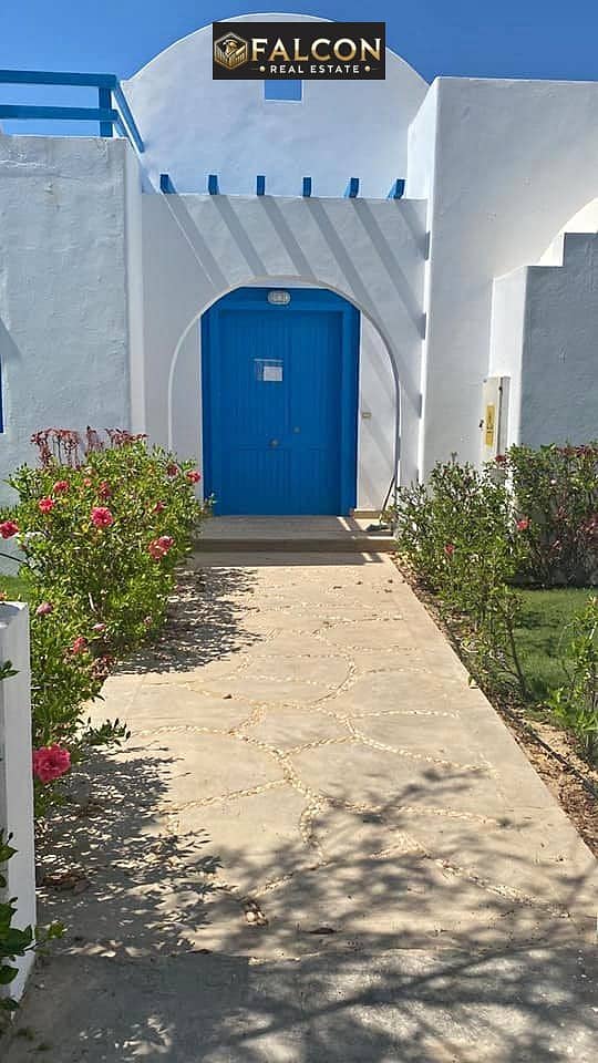 8 503649268_2620315318316796_393020618051341551_n. jpg