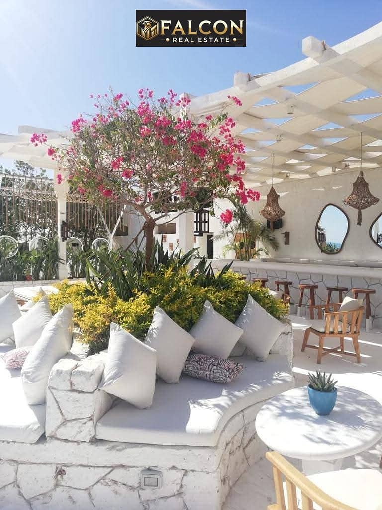 4 WhatsApp Image 2025-06-19 at 9.50. 13 PM (1). jpeg