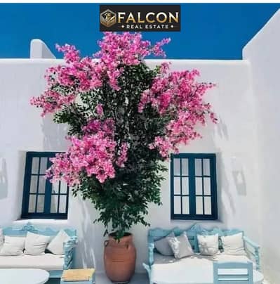 3 Bedroom Villa for Sale in North Coast, Matruh - WhatsApp Image 2025-07-02 at 5.17. 17 PM (1). jpeg