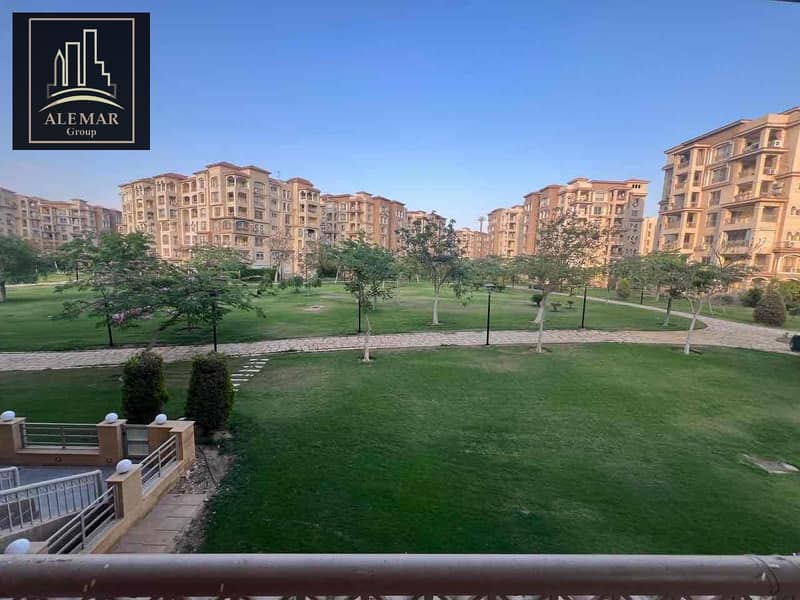 10 de252463-bed9-4190-baeb-7b617aee81e9. jpg