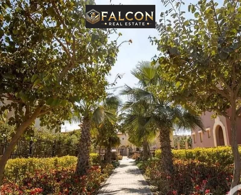 7 5922353b-6296-4592-a9ba-c50d49845145. jpg