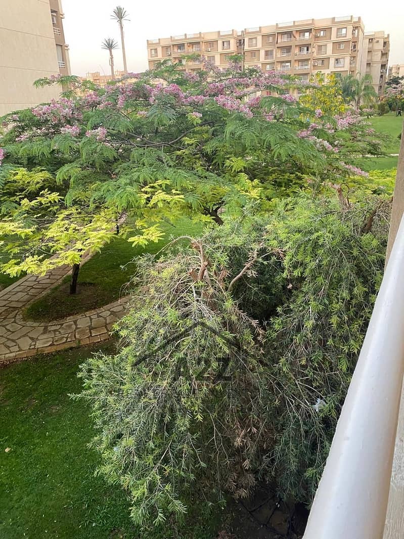 6 صورة واتساب بتاريخ 1447-01-20 في 21.03. 14_3e32abd7. jpg