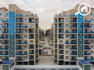 3 Bedroom Flat for Sale in North Coast, Matruh - Screenshot_17-7-2024_162021_realestate. eg_800x600. jpg