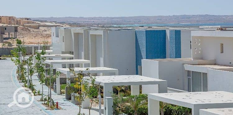 3 Fouka-Bay-14-750x370. jpg