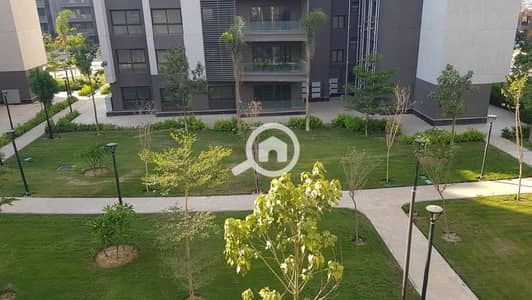 3 Bedroom Flat for Sale in Madinaty, Cairo - WhatsApp Image 2025-07-17 at 3.29. 54 PM. jpeg