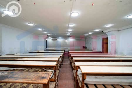 Office for Sale in San Stefano, Alexandria - DSC02119. jpg
