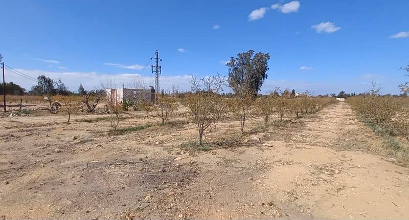 ١٢ فدان للبيع على طريق القاهرة الإسكندرية الصحراوي ١٢ فدان للبيع على طريق القاهرة الإسكندرية الصحراوي