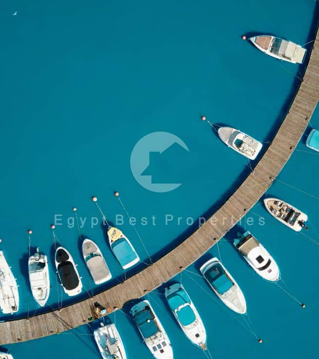 4 the_island_-_marina_5Screenshot_2025-07-14_144124. png