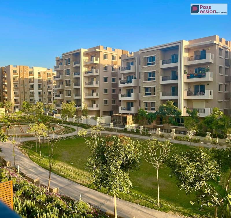 10 462869181_3567296463515823_8647949929272691096_n. jpg