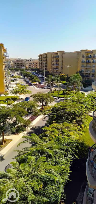 شقة 3 غرف نوم للبيع في القاهرة الجديدة، القاهرة - IMG20191120114219. jpg