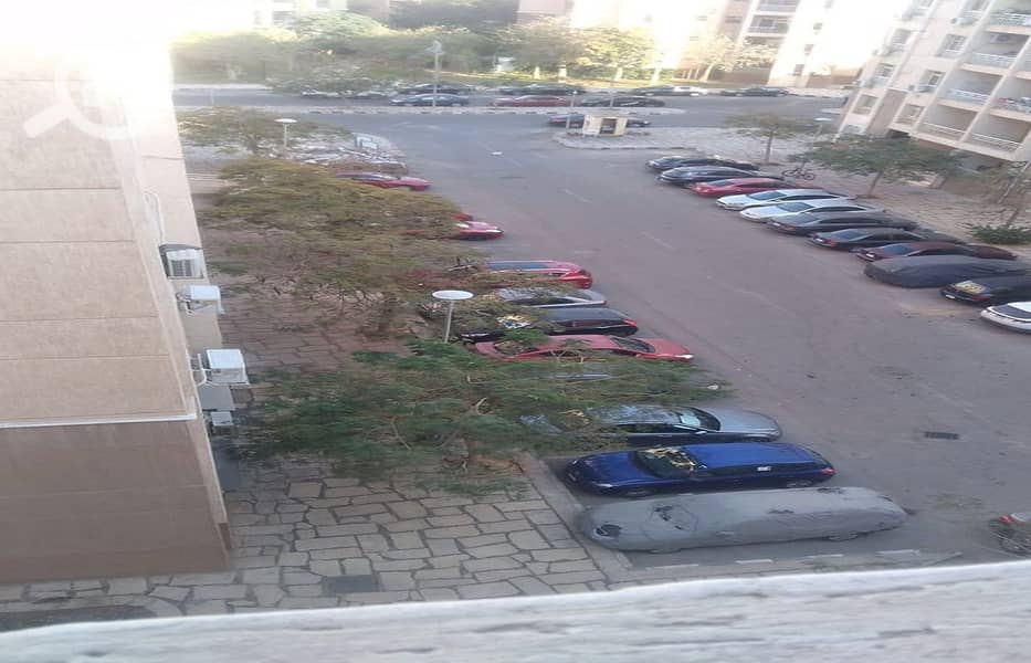 19 صورة واتساب بتاريخ 2024-12-09 في 15.46. 40_96393afd. jpg