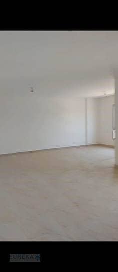 6 5. jpg