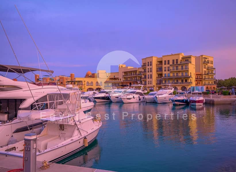 8 pexels-bassel-zaki-706250525-18614692. jpg