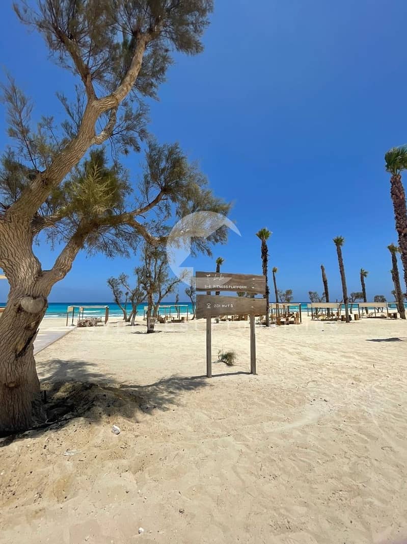 4 MARSA 7. jpg