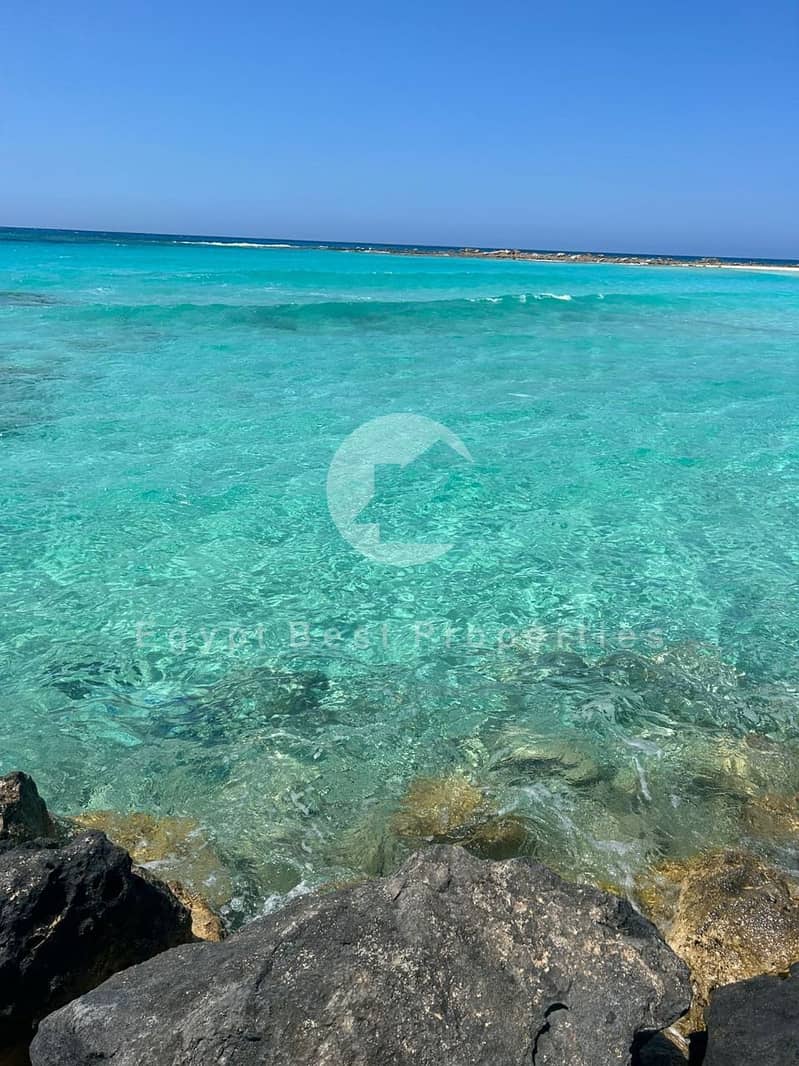 5 MARSA 5. jpg