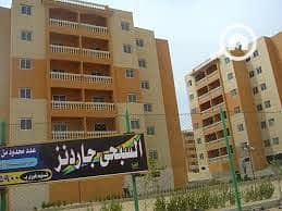 8 10. jpg
