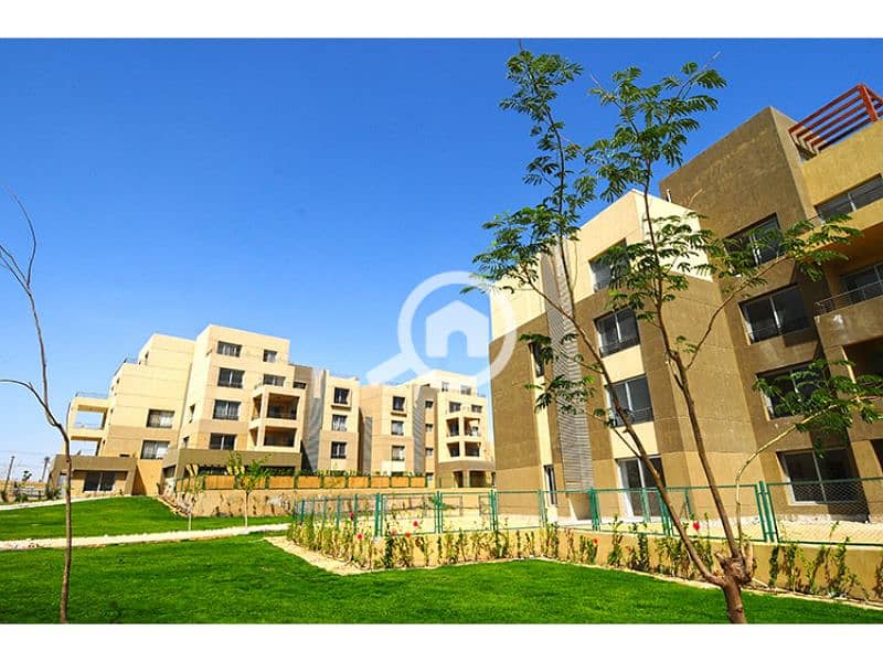 10 Palm Parks 6. jpg